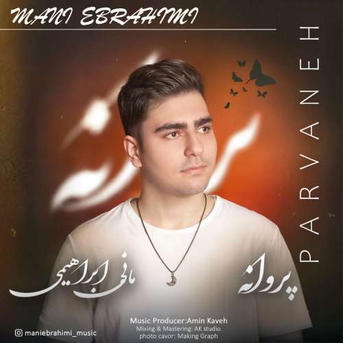 مانی ابراهیمی پروانه